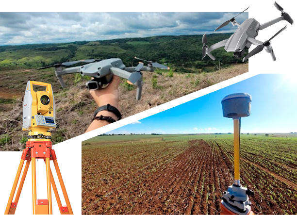 foto home - TreePass Assessoria